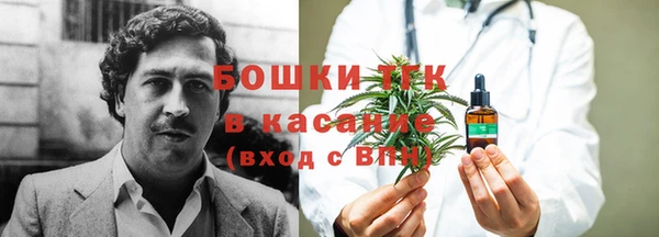 гашик Переславль-Залесский