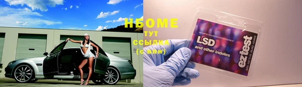 2c-b Пересвет